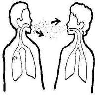 Articole Afectiuni infecto-contagioase