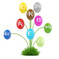 Articole Vitamine si minerale