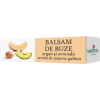 Manicos Balsam buze ulei argan extract Avocado Aroma Pepene Galben 1