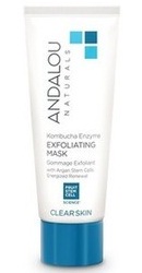 Kombucha Enzyme Exfoliating Mask - Andalou Naturals