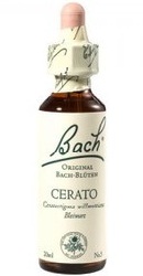 Cerato - Bach