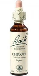 Chicory - Bach