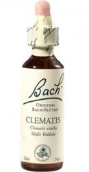 Clematis - Bach