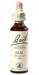 Elm - Bach