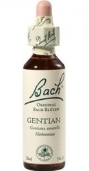 Gentian - Bach