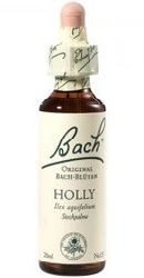 Holly - Bach