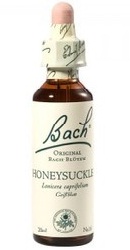 Honeysuckle - Bach