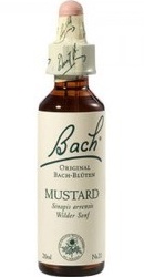 Mustard - Bach