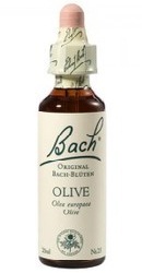 Olive - Bach