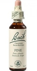 Pine - Bach