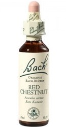 Red Chestnut - Bach