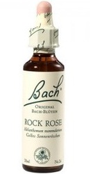 Rock Rose - Bach