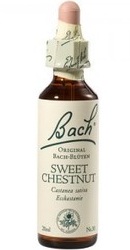 Sweet Chestnut - Bach