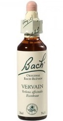 Vervain - Bach