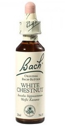 White Chestnut - Bach