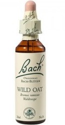 Wild Oat - Bach