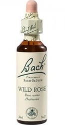 Wild Rose - Bach