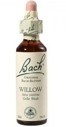 Willow - Bach