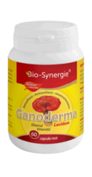 Ganoderma - Bio Synergie
