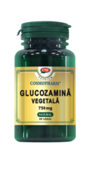 medicamente producătoare de glucozamină