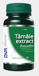 extract de tamaie capsule