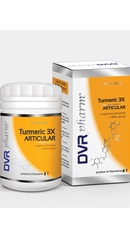 Turmeric 3X Articular - DVR Pharm