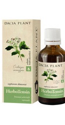 HerboTensin tinctura - Dacia Plant
