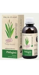Sirop Patlagina - Dacia Plant