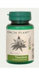 Vasoclean - Dacia Plant