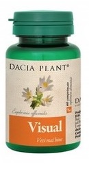 Visual - Dacia Plant