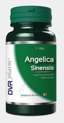 Angelica Sinensis - DVR Pharm