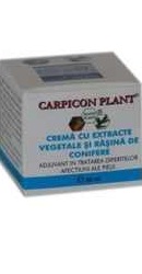 Carpicon Plant Crema - Elzinplant