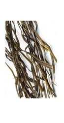 Alge Sea Spaghetti - Evertrust