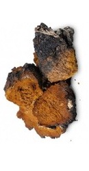 Chaga Pudra Organica - Evertrust