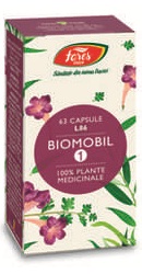 Biomobil 1 - Fares