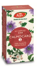 Calmocard 2 - Fares
