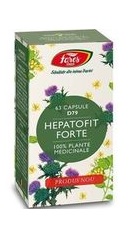 Hepatofit Forte D79 - Fares