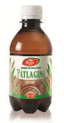 Sirop Patlagina - Fares