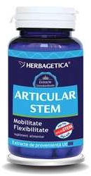 Articular Stem - Herbagetica