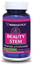 Beauty Stem - Herbagetica