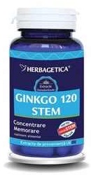 Ginkgo 120MG Stem - Herbagetica