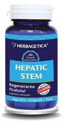 Hepatic Stem - Herbagetica