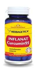 Inflanat Curcumin 95 - Herbagetica