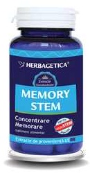 Memory Stem - Herbagetica