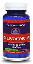 Olivoforte - Herbagetica