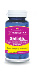 Shilajit Mumio – Herbagetica