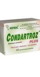 Condartroz Plus - Hofigal