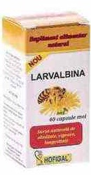 Larvalbina - Hofigal