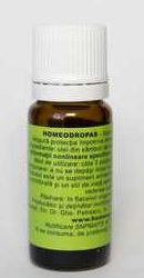 Homeodropas - Homeogenezis