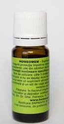 Homeomem - Homeogenezis
